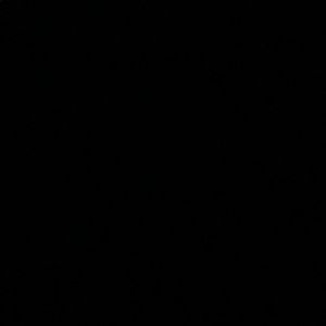 Meet your Posher, Jake